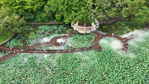 深圳人游玩推荐,深圳人爬山看海