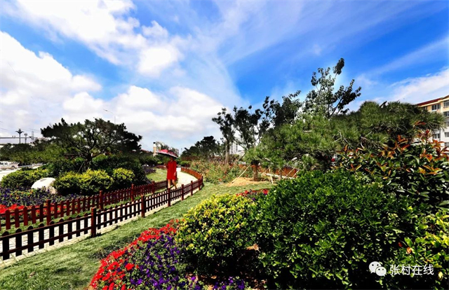 威海森林氧吧,夏天威海张村附近的公园