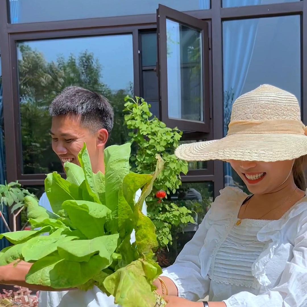 蜂场种的莴笋丰收了。拔下来切一切，焯一遍开水，趁着大太...