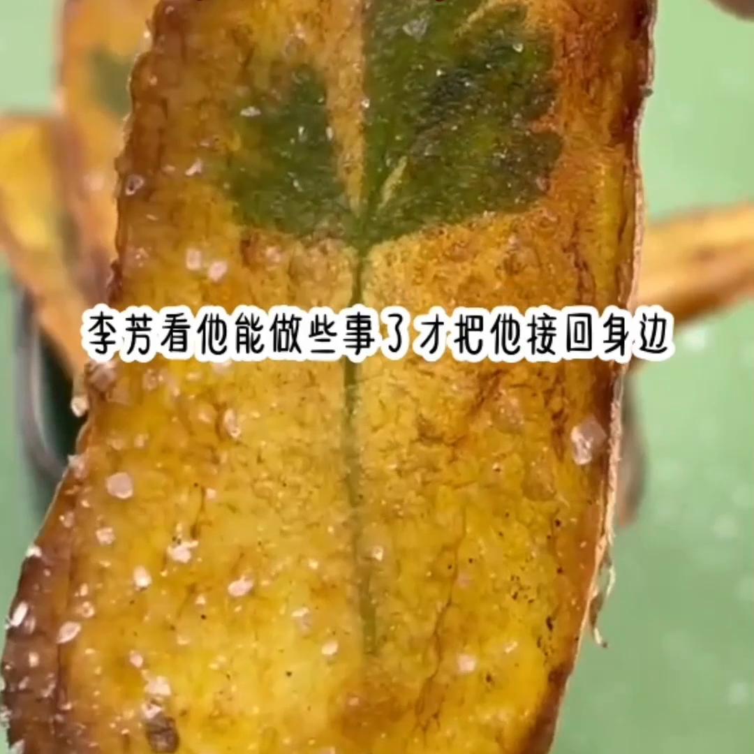 鍒濇亱鏂囪崚,鏂囪崚鍒濇亱