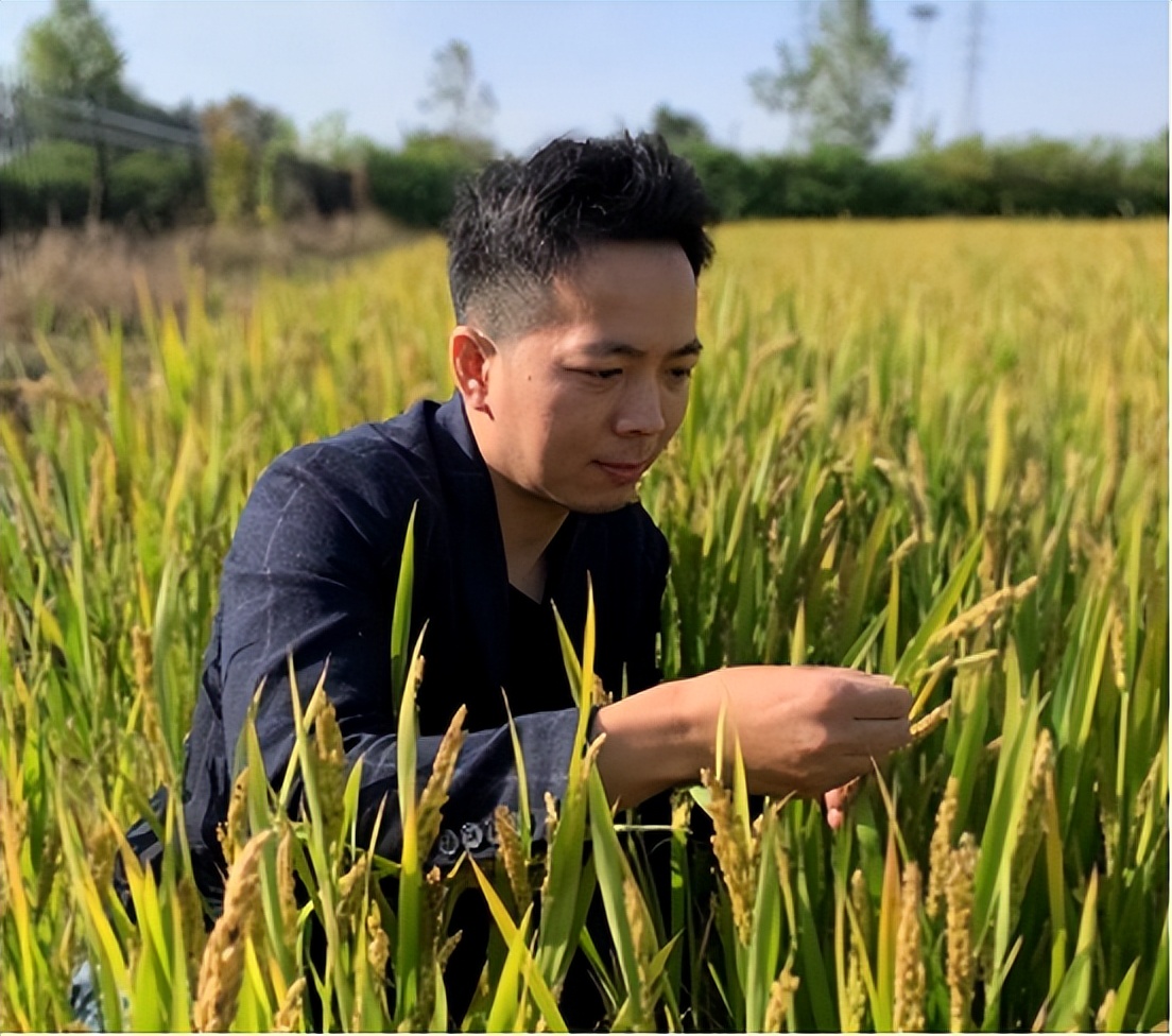 学习贯彻党的二十大精神三句半,学习贯彻党的二十大精神开场视频