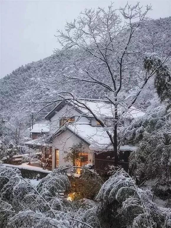 莫干山3家不容错过网红民宿，泡暖心温泉私享冬日雪景丨南方民宿