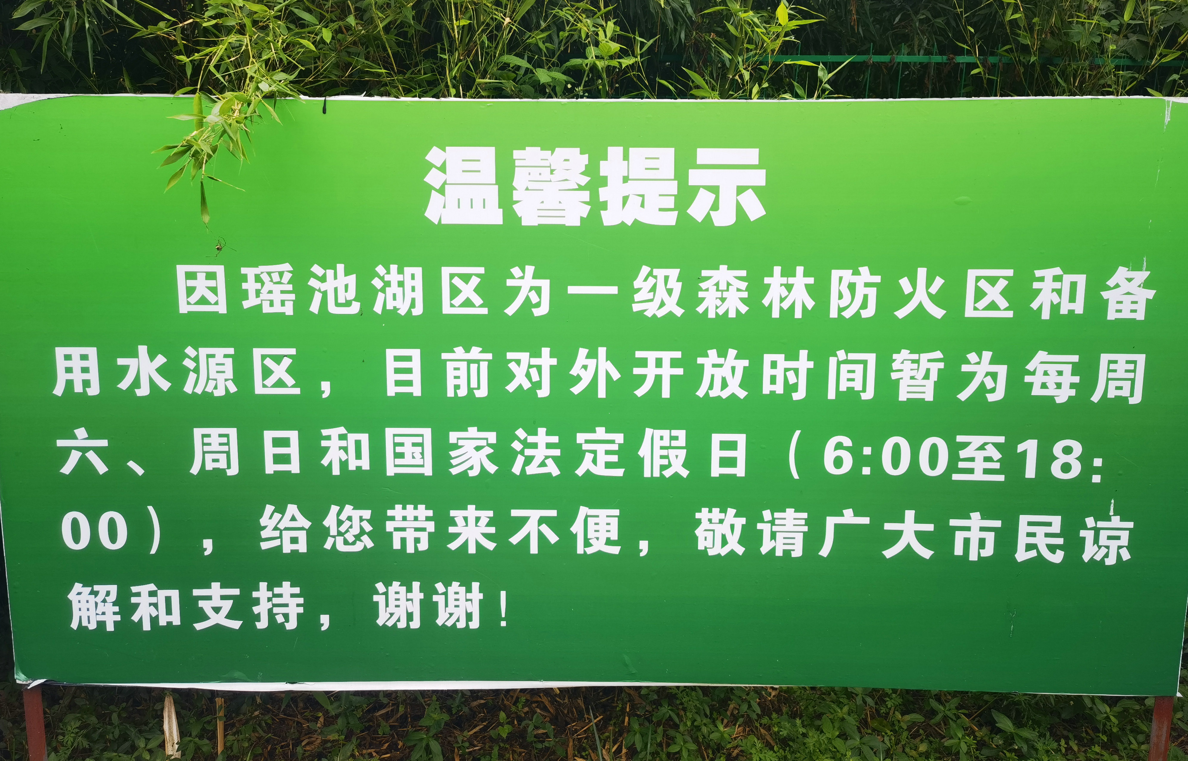 六盘水19度夏天,19度的夏天六盘水