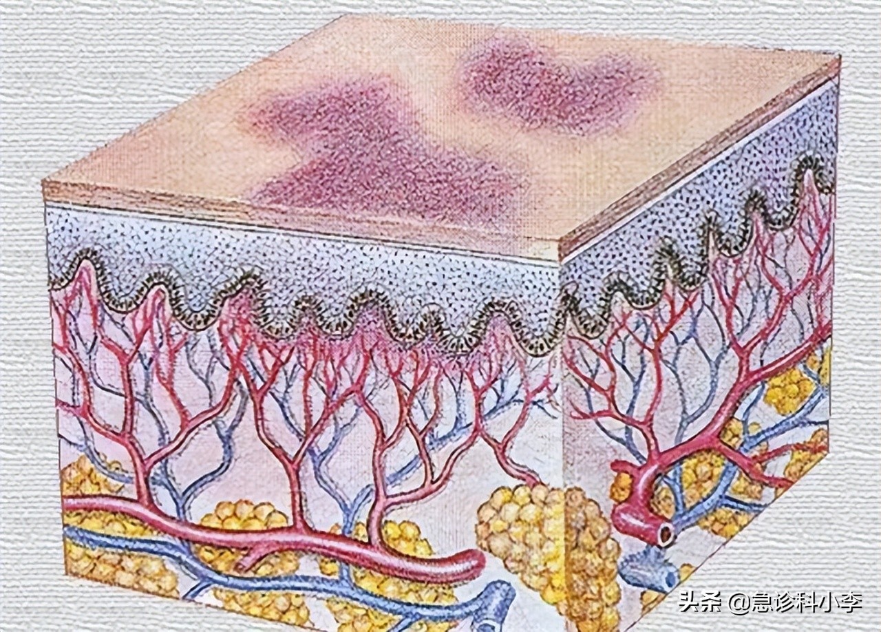 三种中药已被国家药典禁用,三种药已经禁用