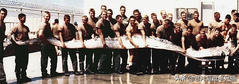 哥斯拉20个泰坦解析,哥斯拉2泰坦巨兽彩蛋