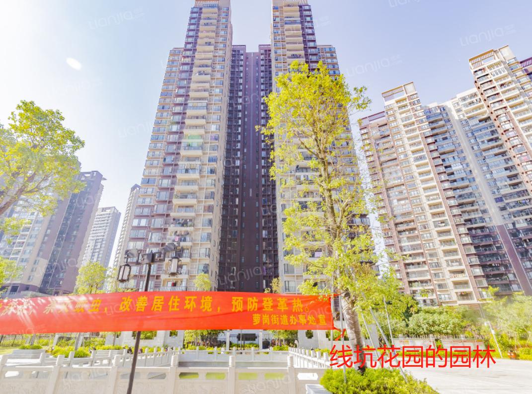 老夫聊发少年狂，今天，我去买琶洲——新村了