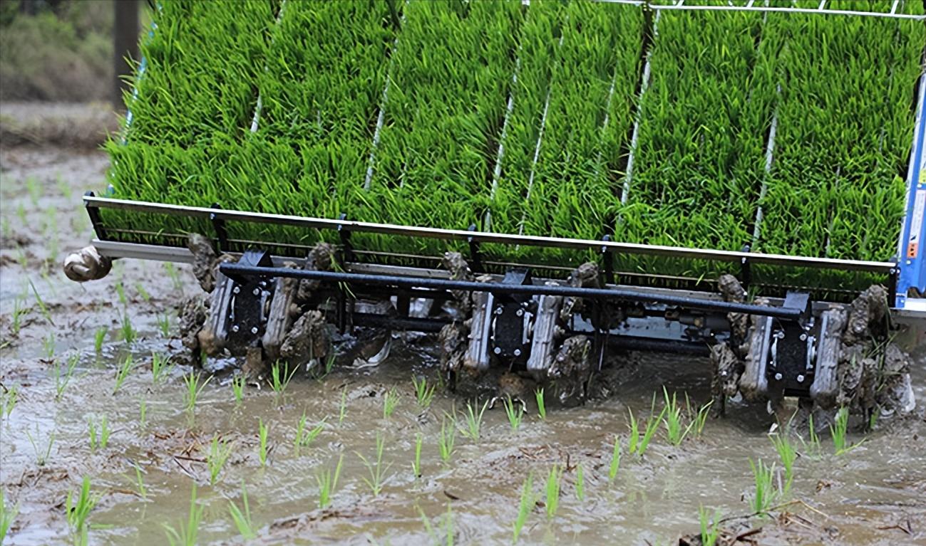 农业绿色植保技术,农业植保技术推广