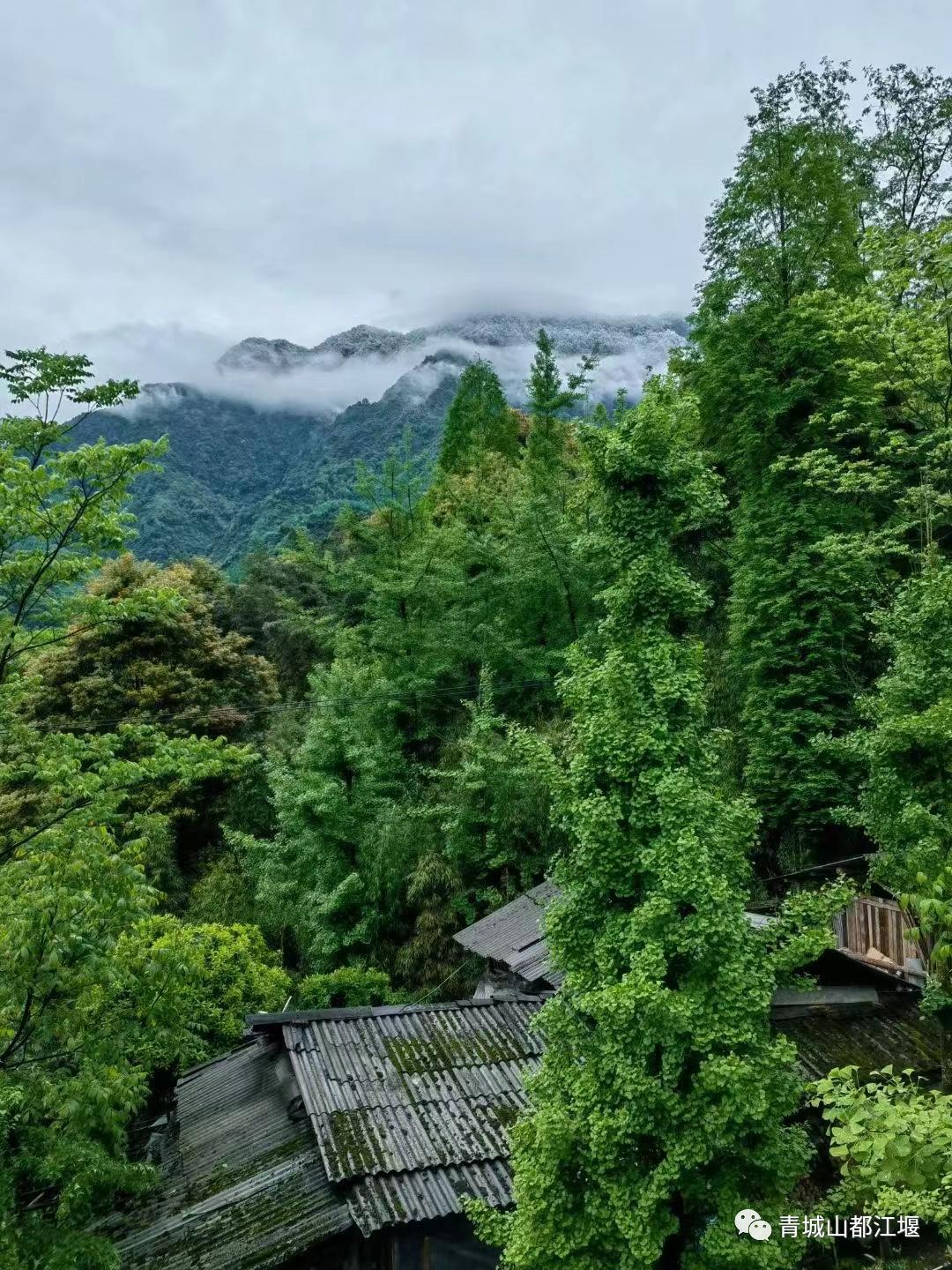 来都江堰的山间溪畔赴一场“好食光”！青山间的火锅店、花园里的小食堂......赏景美食两不误~