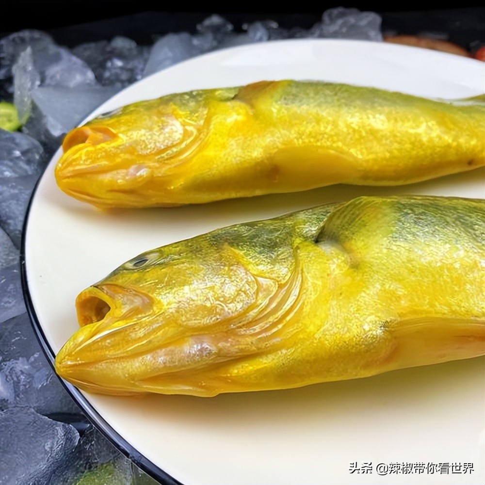 宁德大黄鱼之乡攻略,霞浦大黄鱼之乡图片