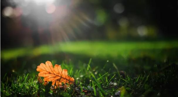 2023年手机屏幕多大最合适,怎么选择手机用的什么屏幕