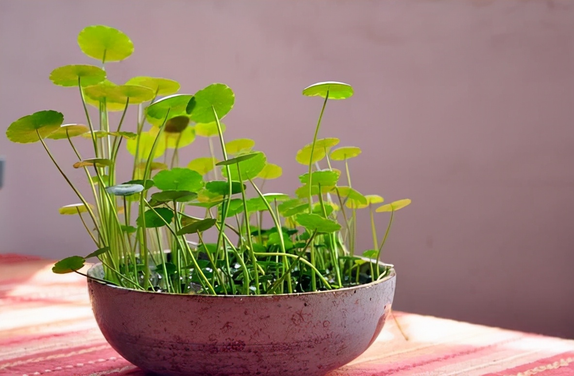 做人出错了几次才要及时止损,人生的转折点及时止损