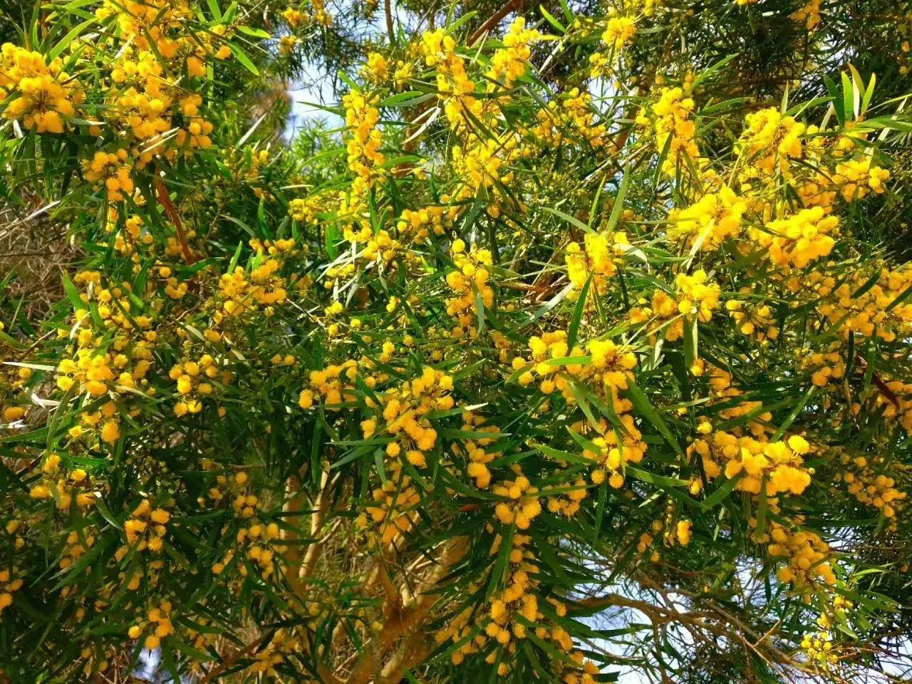 避暑胜地有山有水有树林,大别山避暑胜地有哪些