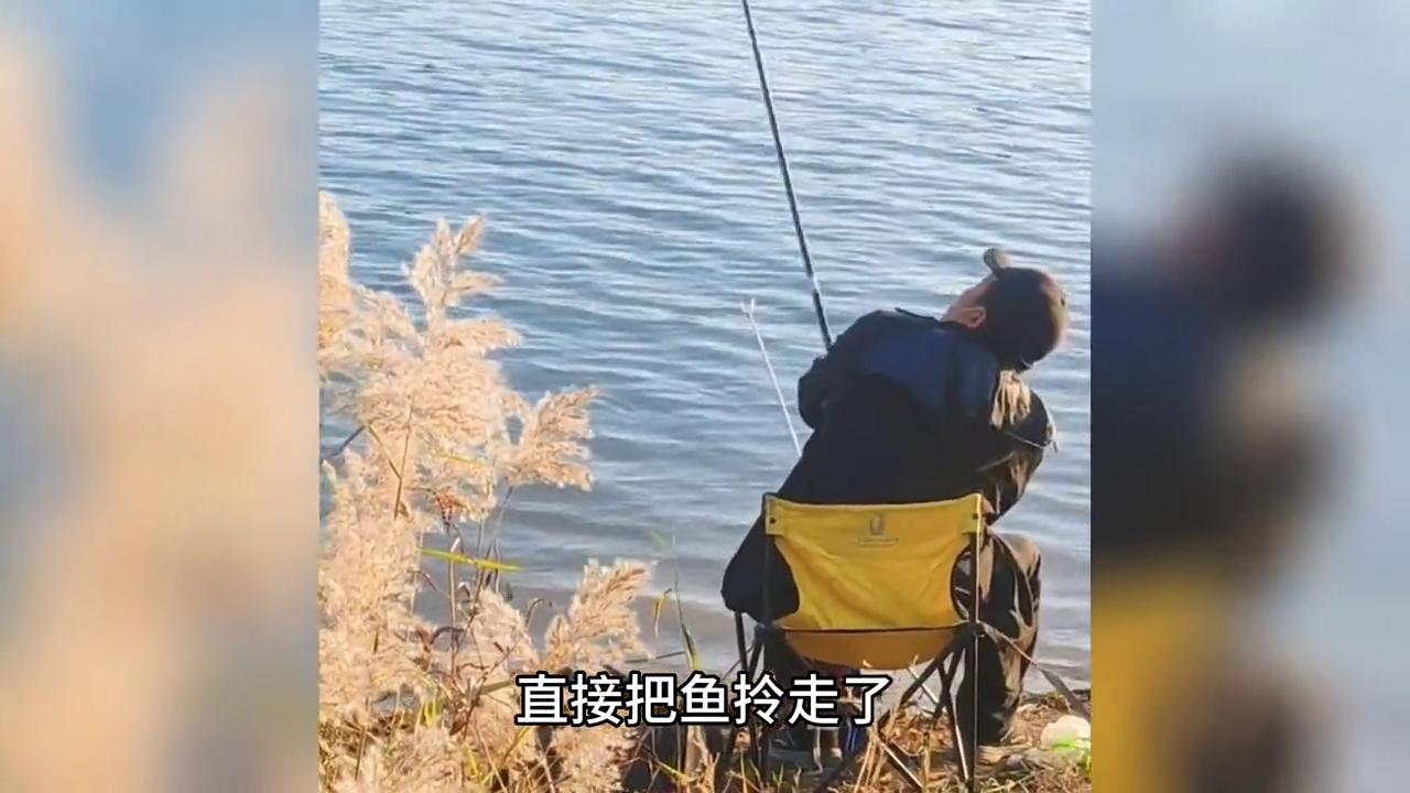 梦到钓鱼有什么寓意,梦到钓鱼是什么意思而且鱼很多