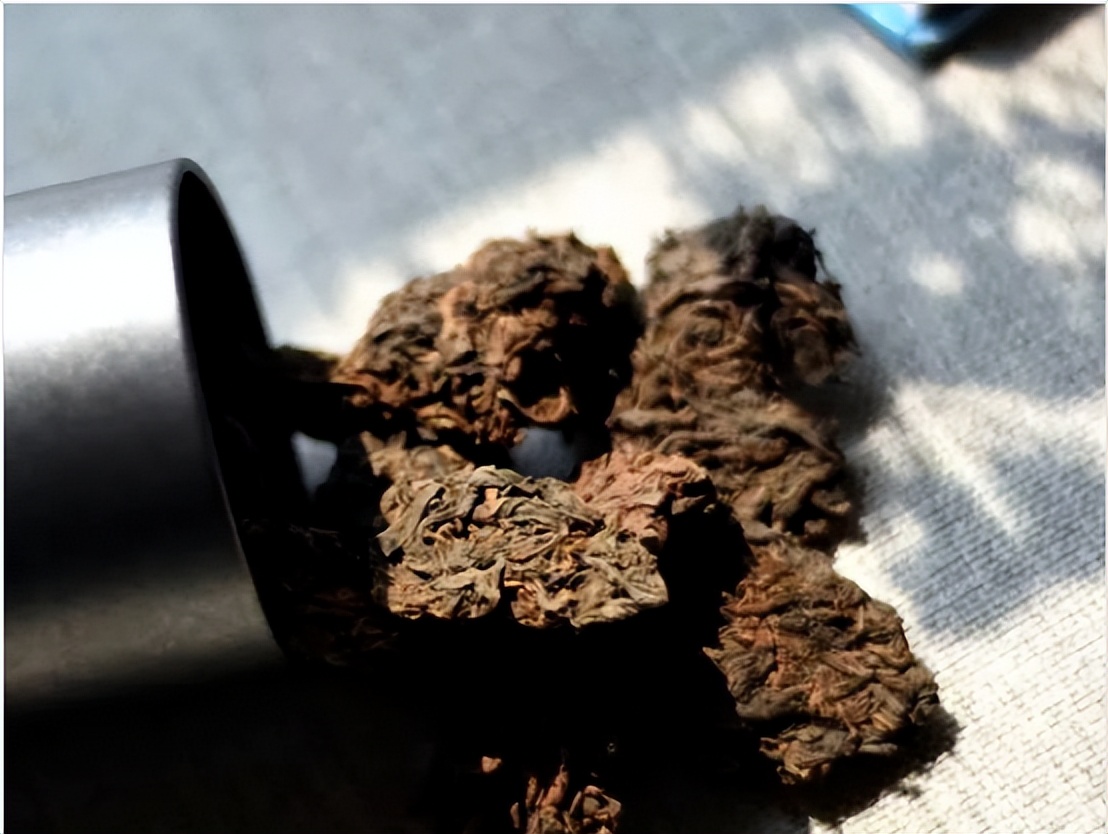 太香？太臭？猫咪排泄物的入药黑历史！