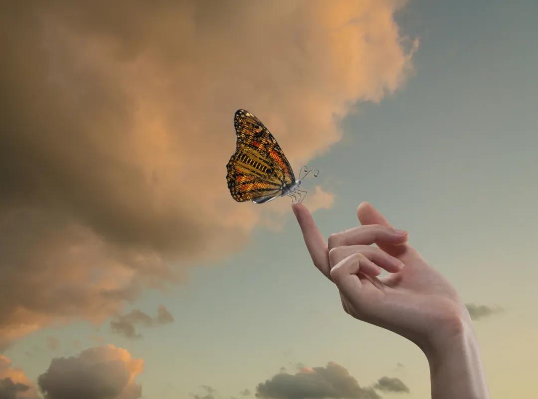 被打动和被感动,被感动真的太重要了