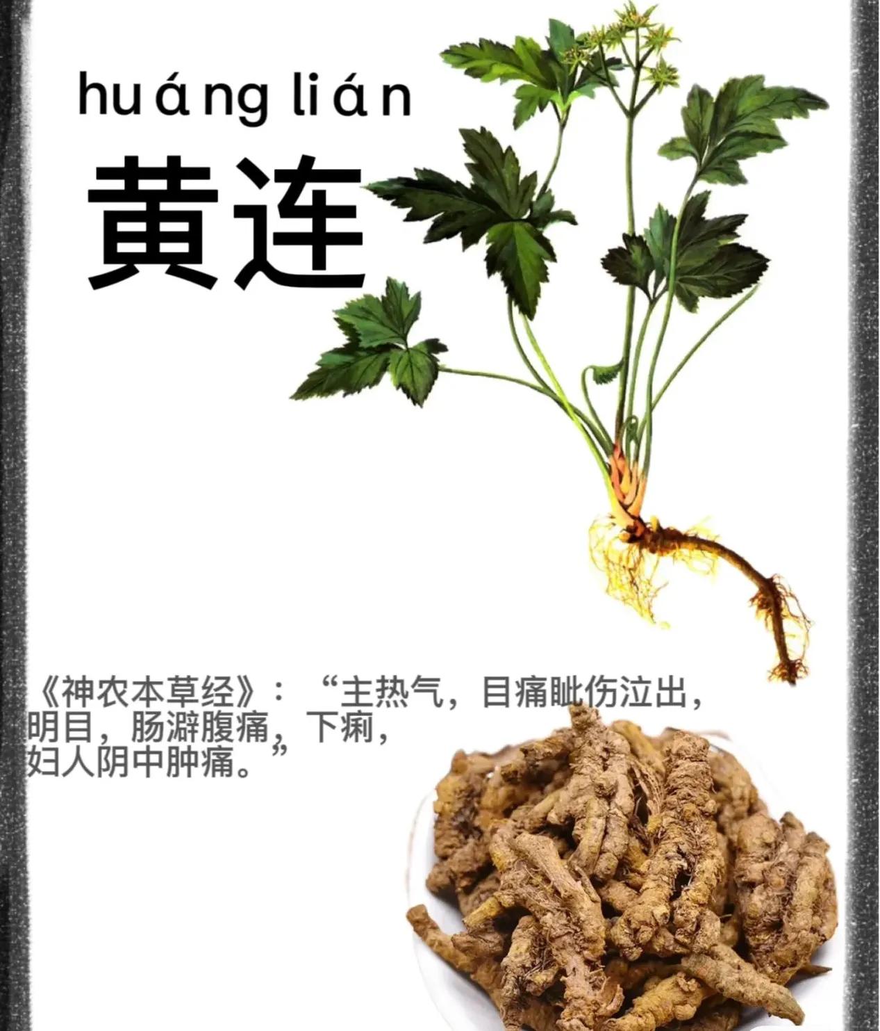 黄连汤治上热下寒的经方,止腹泻的中药