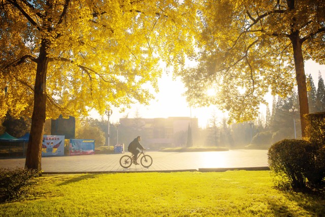 年华最好的样子,一生中最美好的年华十八岁
