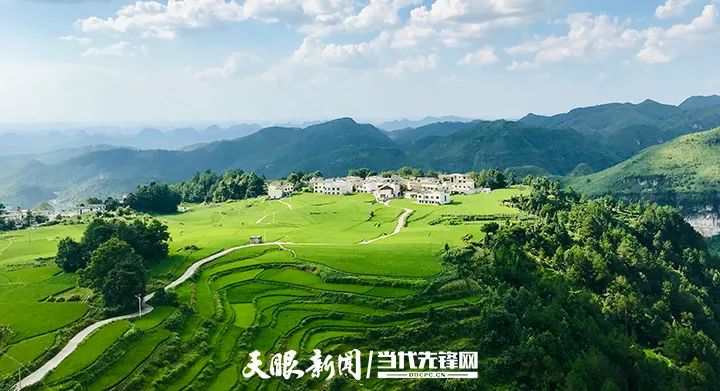党建引领生态旅游发展建议,党建引领激活乡村旅游新动能