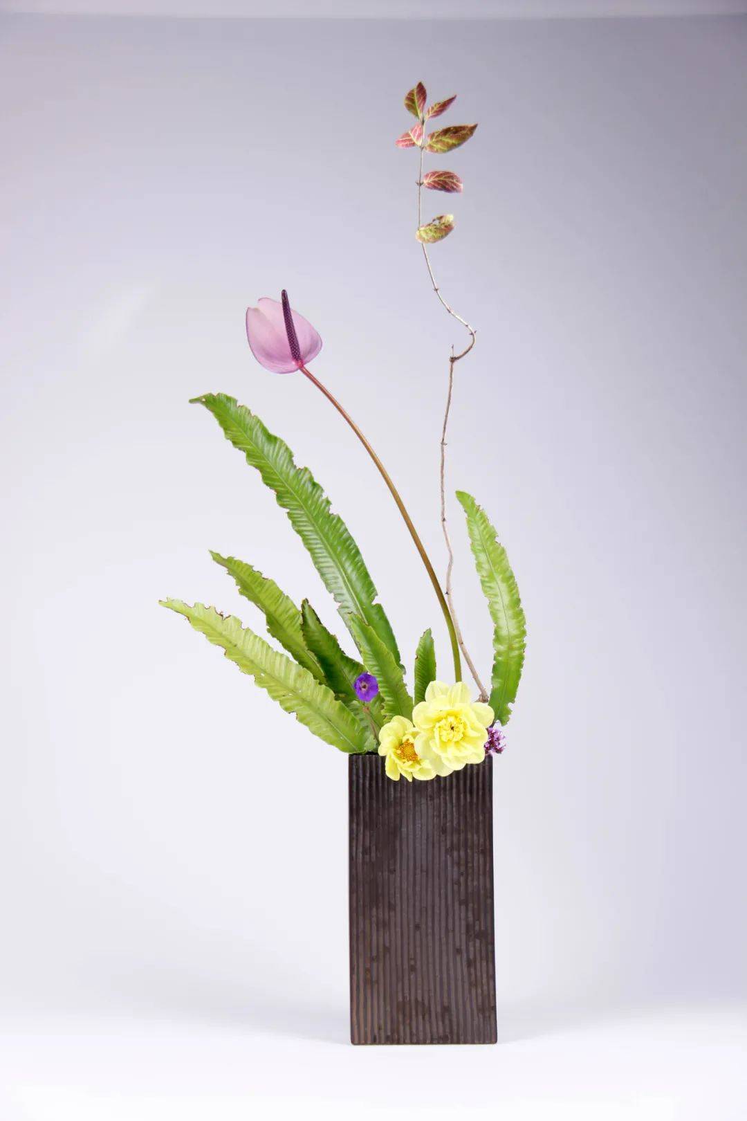 日式插花小原流花道,日式插花的13个基本技巧