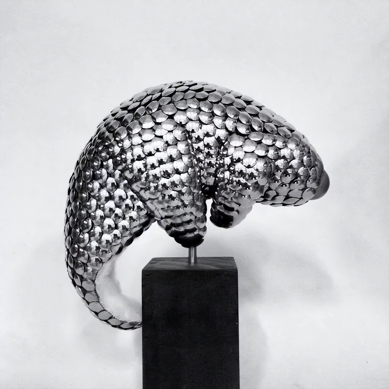 豆瓣评分7-8的剧,8.7评分的新剧