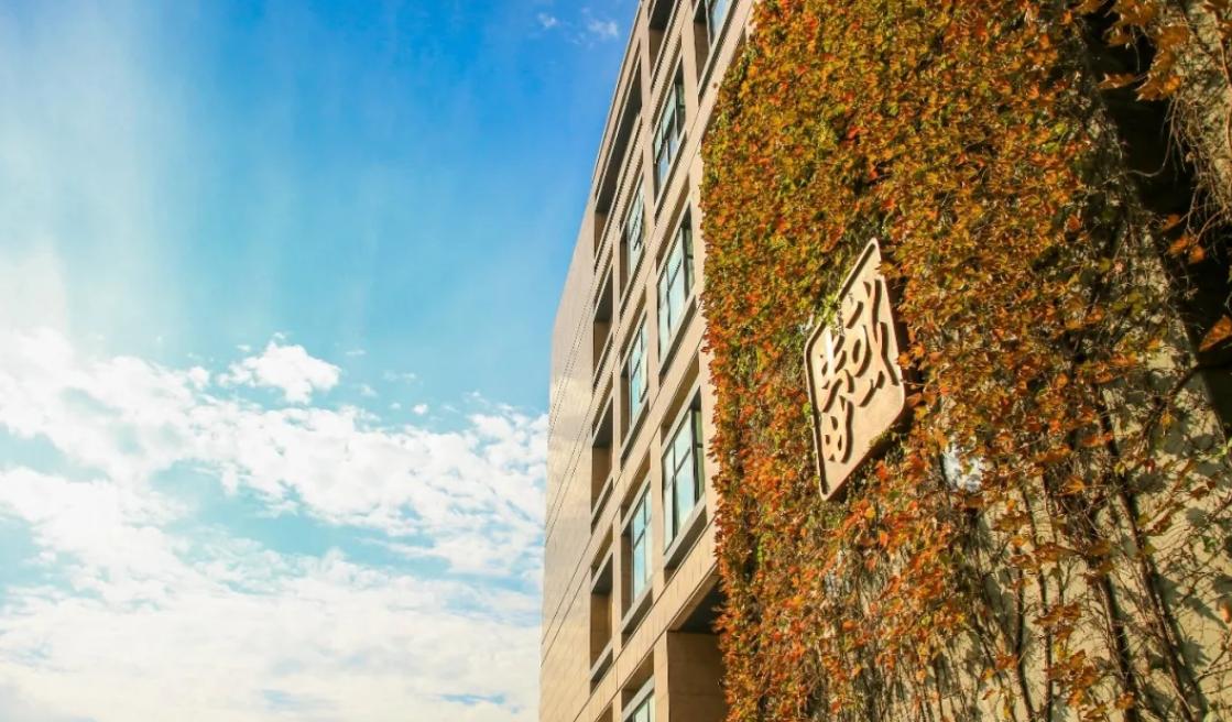 杭州高校全国排名一览表,杭州市几个双一流