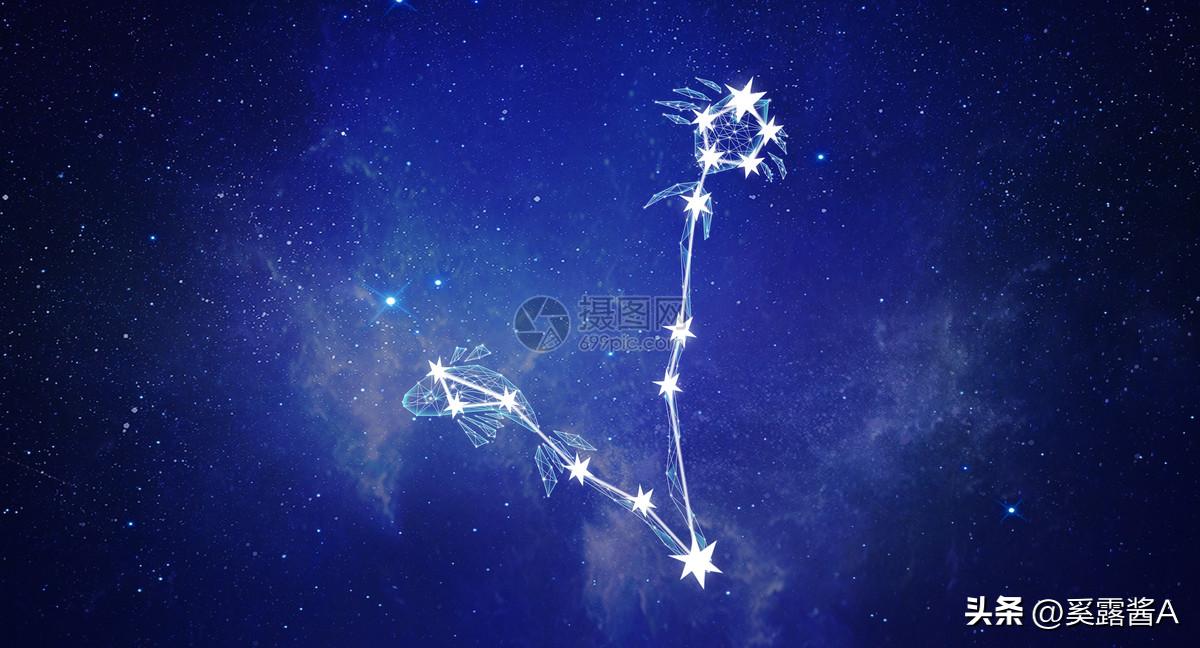 摩羯座双鱼座水瓶座天秤座,水瓶座双鱼座2024全年运势