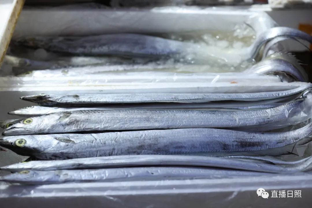 封海倒计时威海海鲜涨价了吗,封海前后海鲜价格对比