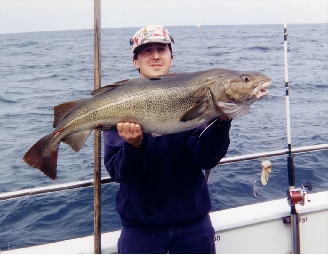 鱿鱼有毒是真的吗,油鱼对身体的危害