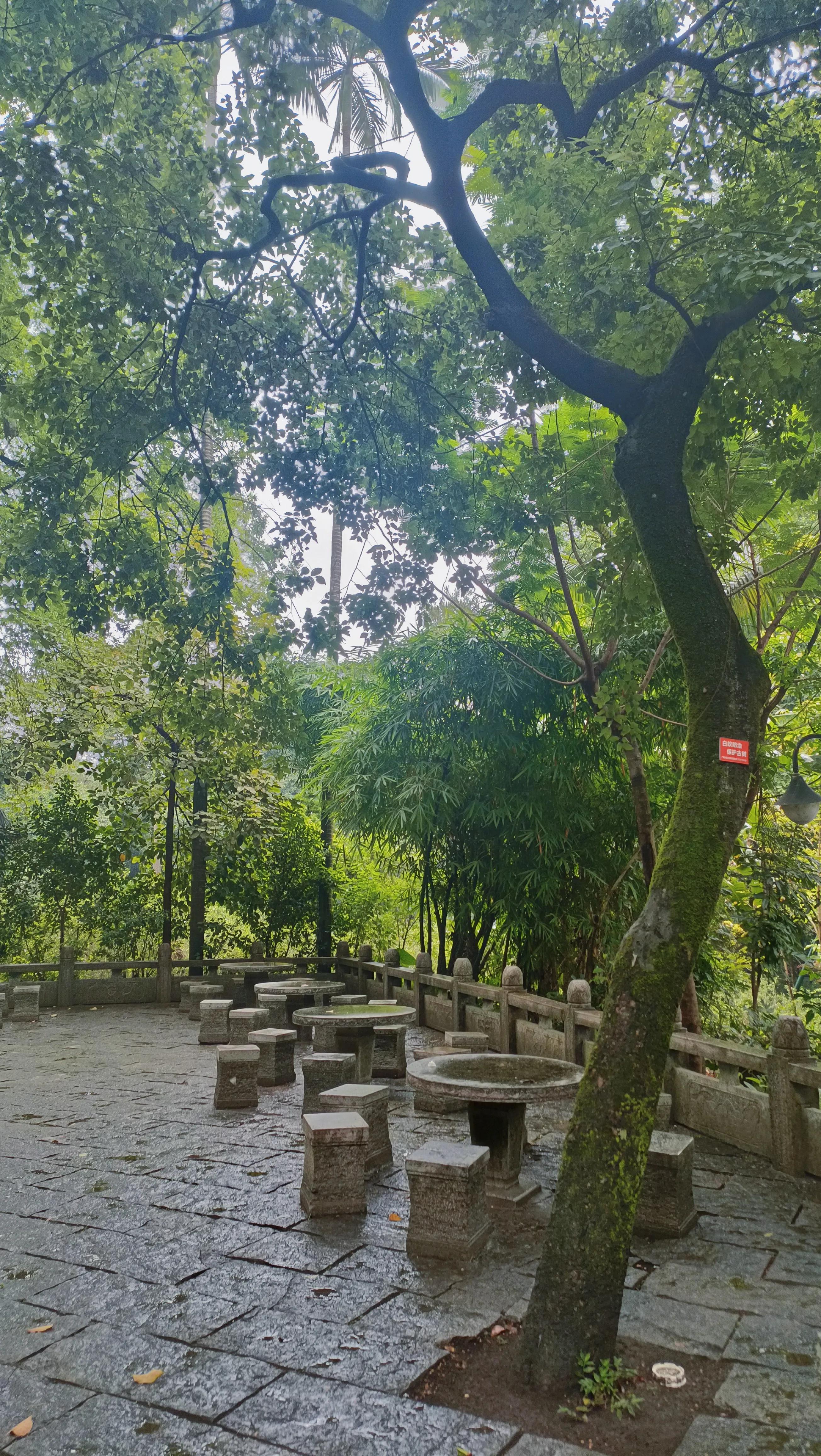 桂平西山一日游最佳攻略,桂平西山风景区图片