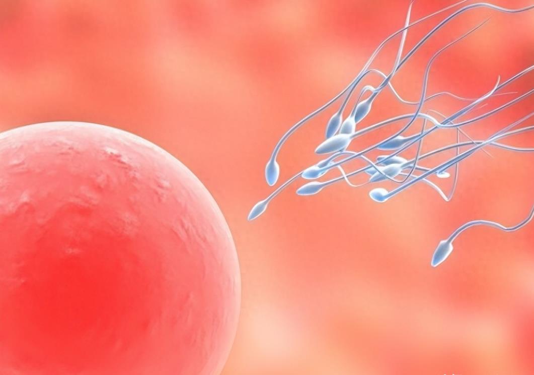 科学家精子运动违背牛顿第三定律,精子科学家