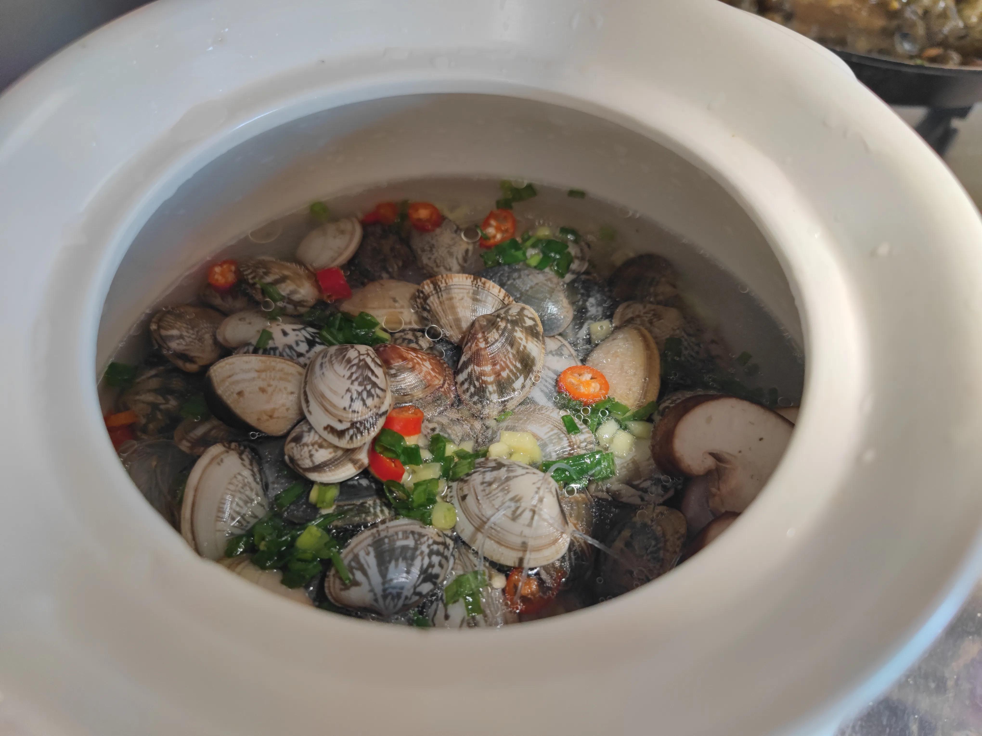 三角牌电饭煲怎么煮饭,正宗三角牌电饭煲标志