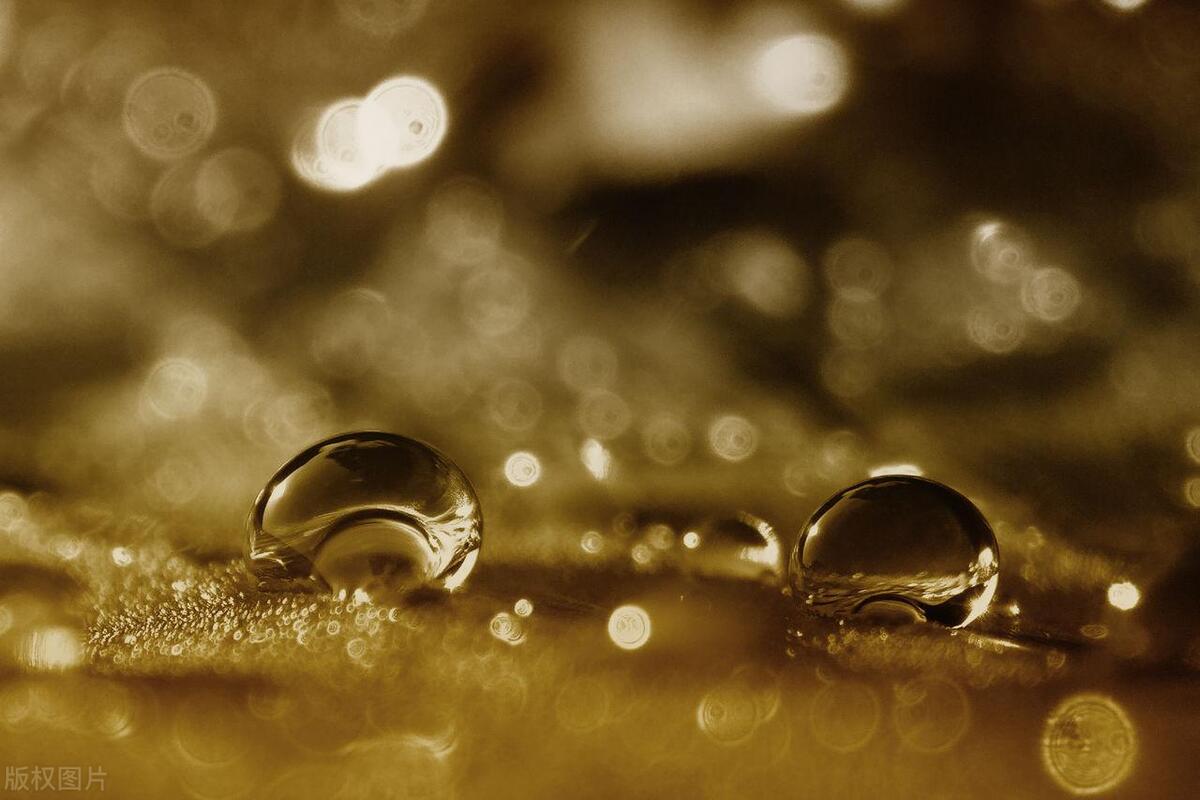 夏天祛体内湿气的食疗,夏季湿气重吃什么排湿最快