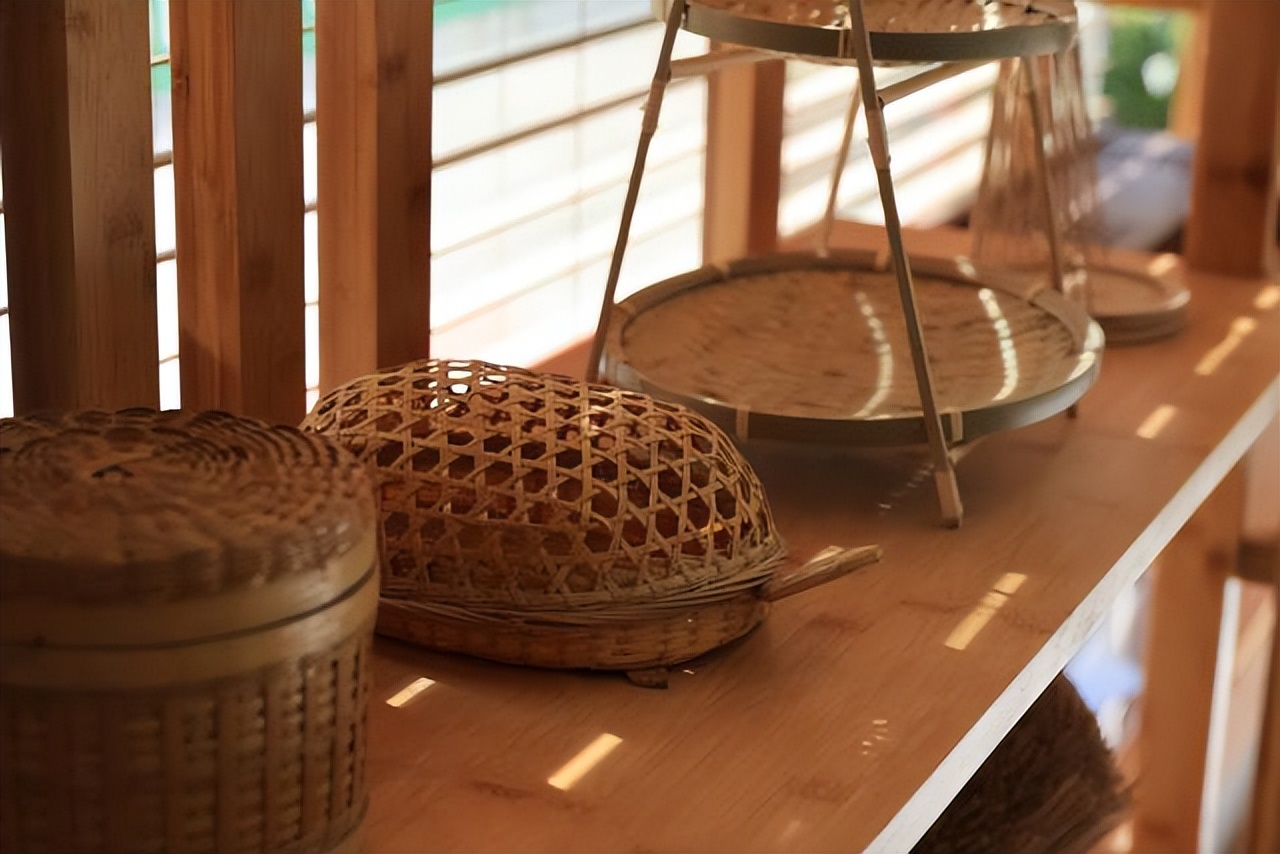 从竹笋到竹子的过程有趣极了,蕉岭毛竹