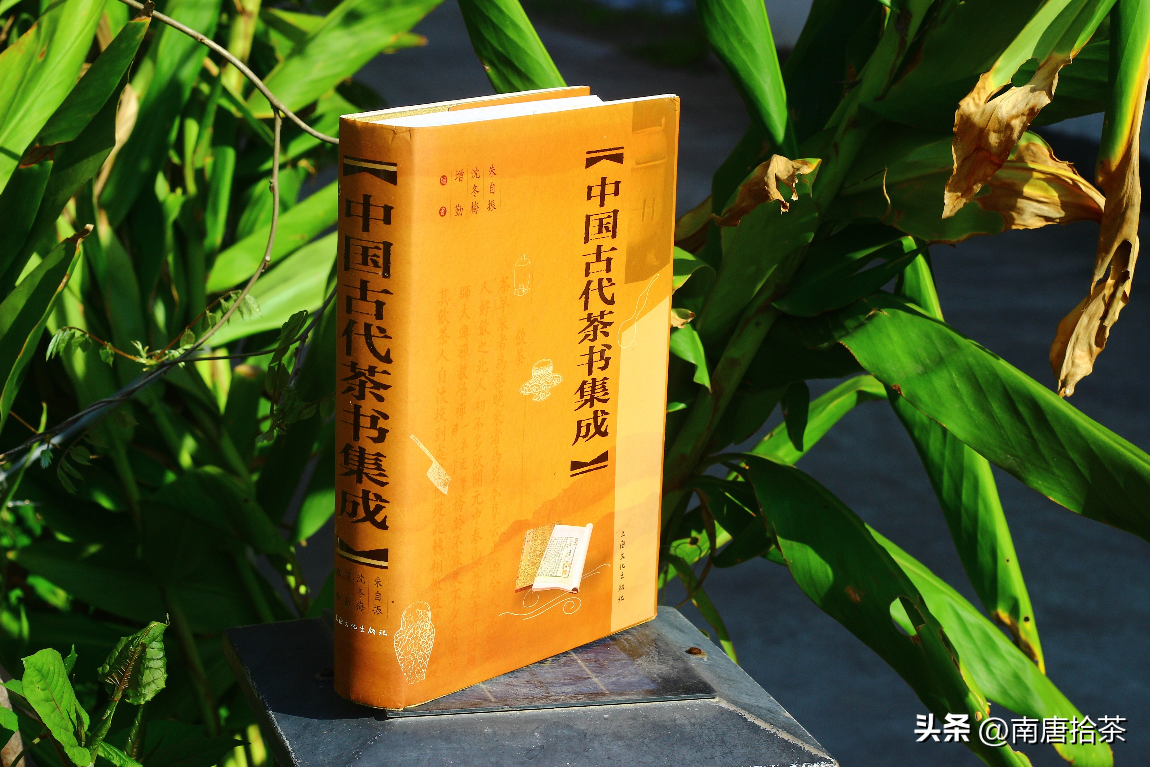 适合新手的茶书有哪些,茶小白入门看什么书