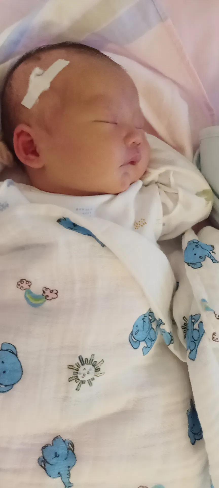 宝宝出生经历磨难,宝宝出生经历了哪些过程