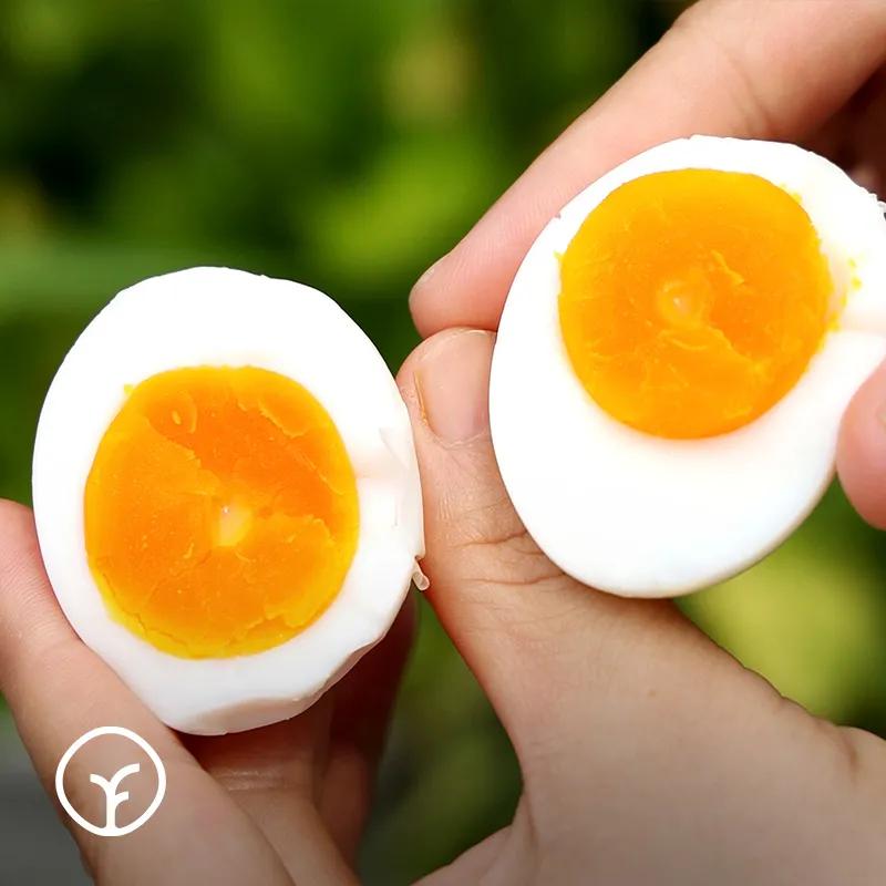 有机土鸡蛋介绍,有机土鸡蛋深山