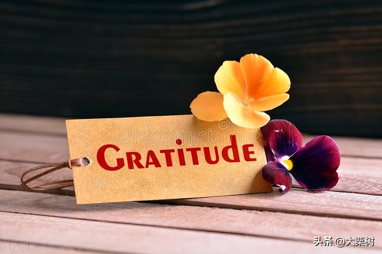 感恩故事心得,感恩故事及心得体会