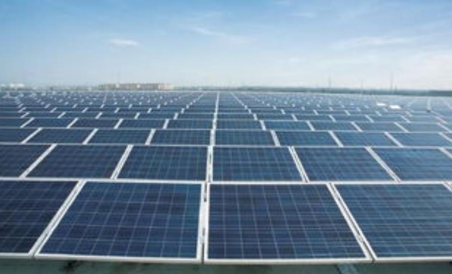 养鱼老板靠什么赚钱,一个养鱼池怎样经营才能挣到钱