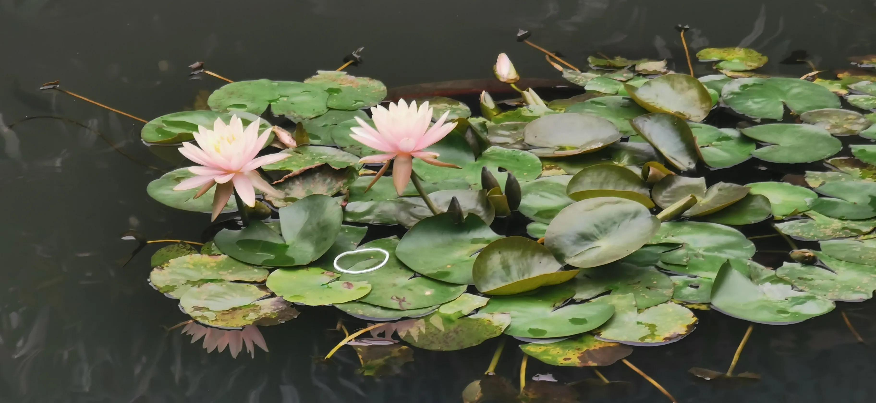 东莞出发自驾游2天游攻略,东莞出发三天自驾游最全攻略