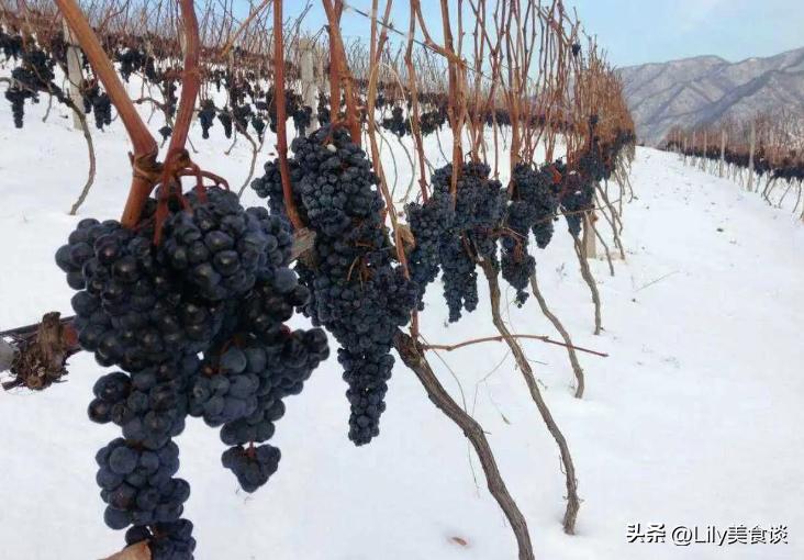 欧洲最好的红酒品牌,国内最好的红酒产自哪里