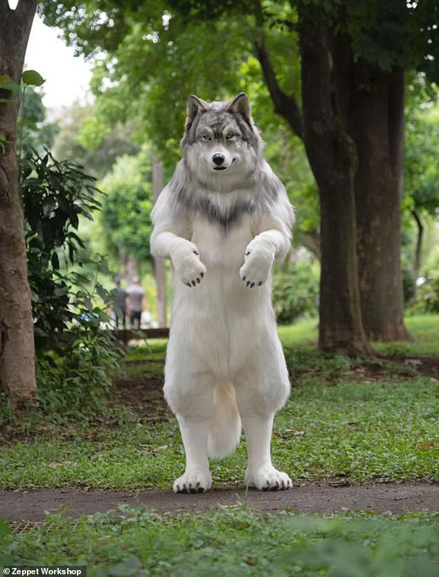 日本男子花10万扮成狗视频,日本男子花200万元扮狗