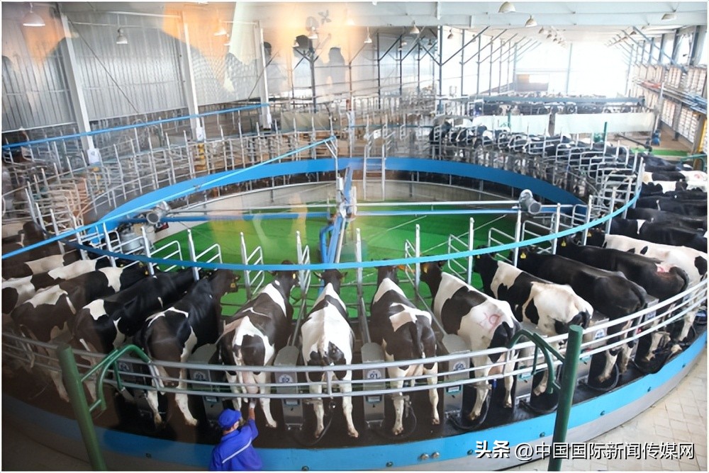 君乐宝全新定义好奶粉,君乐宝中国质量最高的奶粉