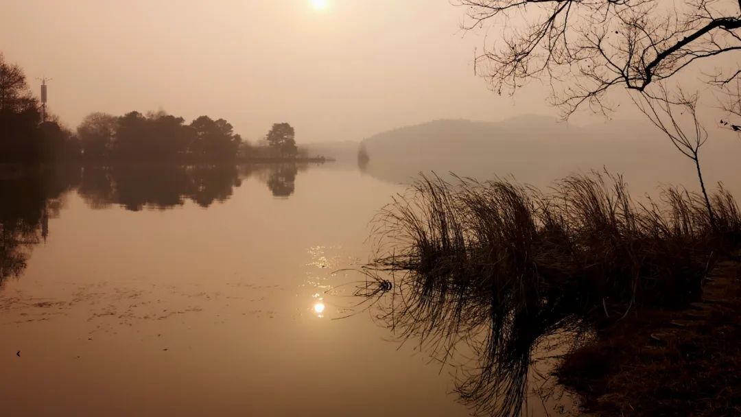 园林景观绿化工程施工,园林景观设计与施工竞赛优秀作品