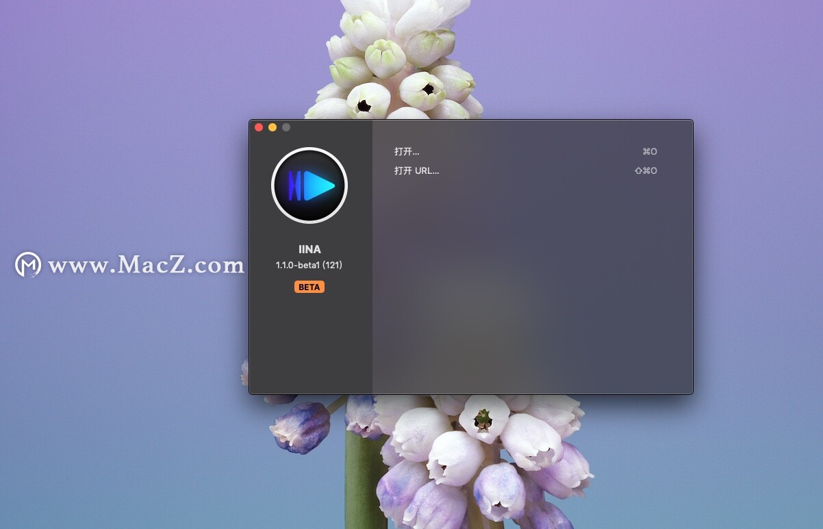 视频格式不合适怎么办,视频格式太大播放不了怎么办