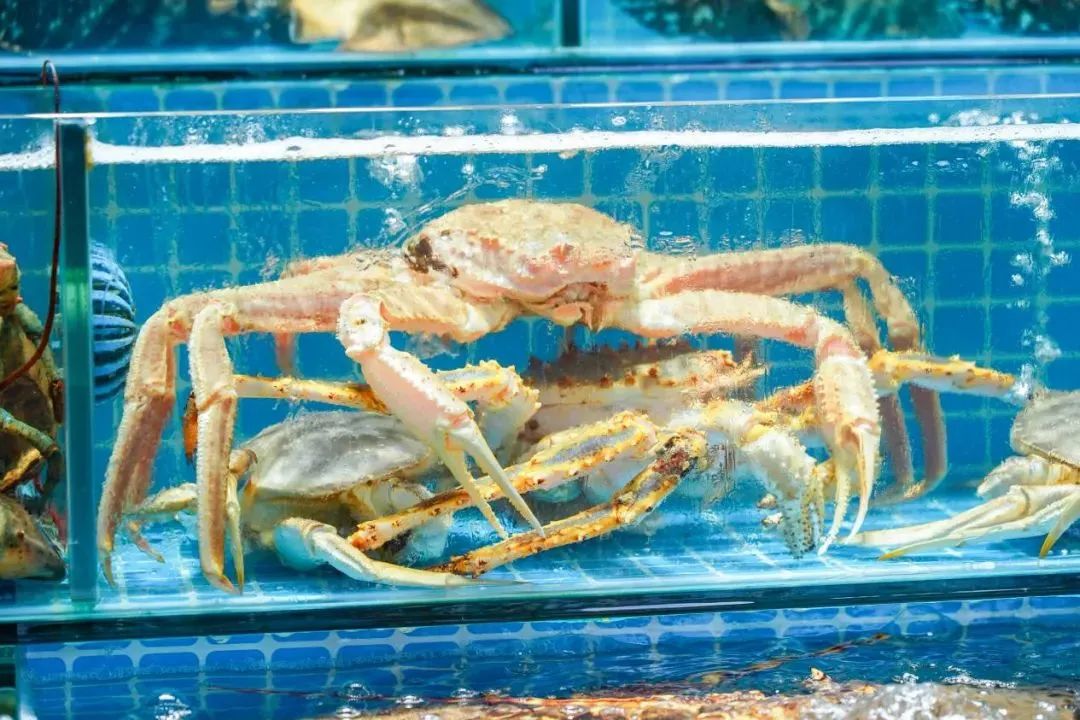 广州大都市鞋子批发市场详细地址,广州最大的家具城批发市场在哪里