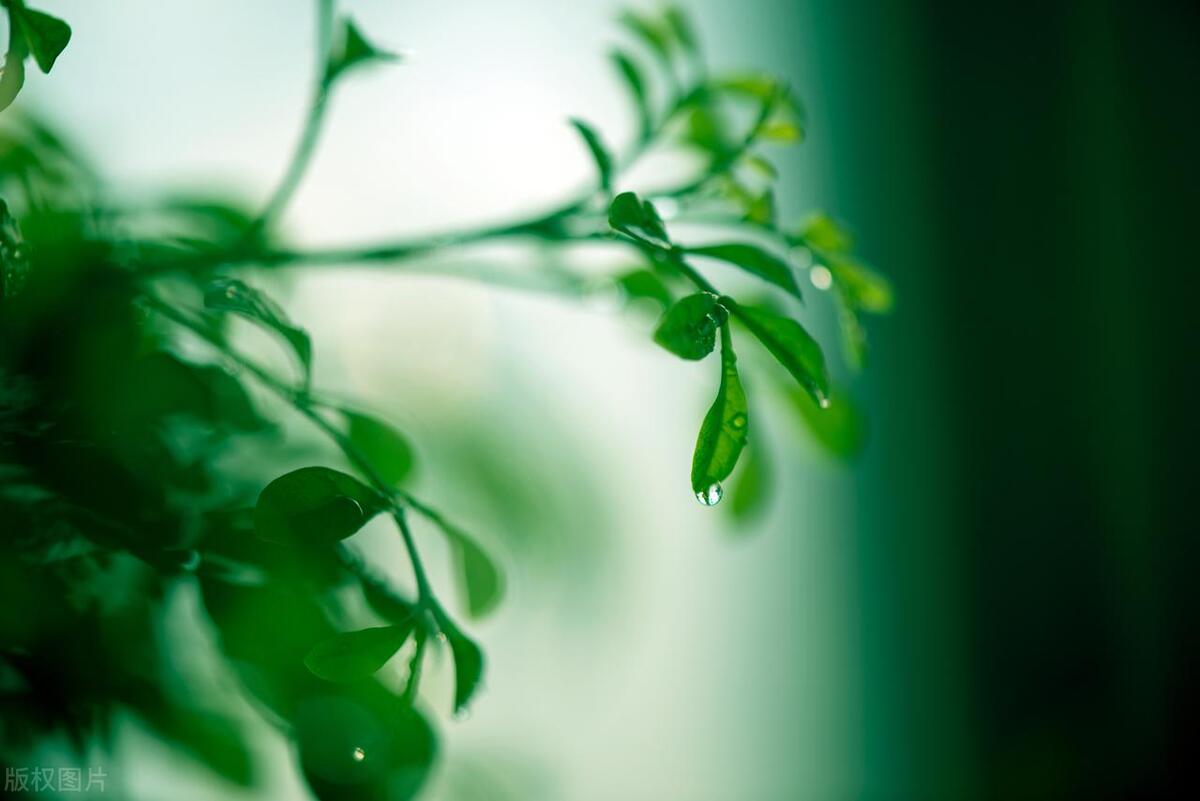 男人删除女人微信还能挽回吗,男朋友把我删除了还能挽回吗