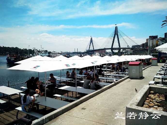 悉尼最大的海鲜鱼市场在哪里,海鲜市场澳洲龙虾