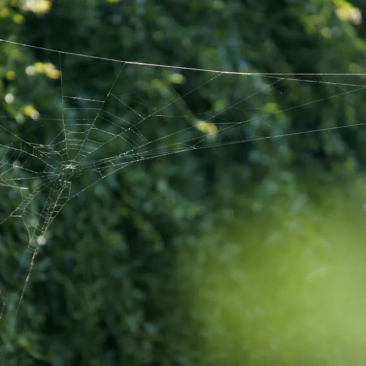 2024骞村宸磋兒閰嶈壊,缁胯壊鐨勫宸磋兒閰嶈壊