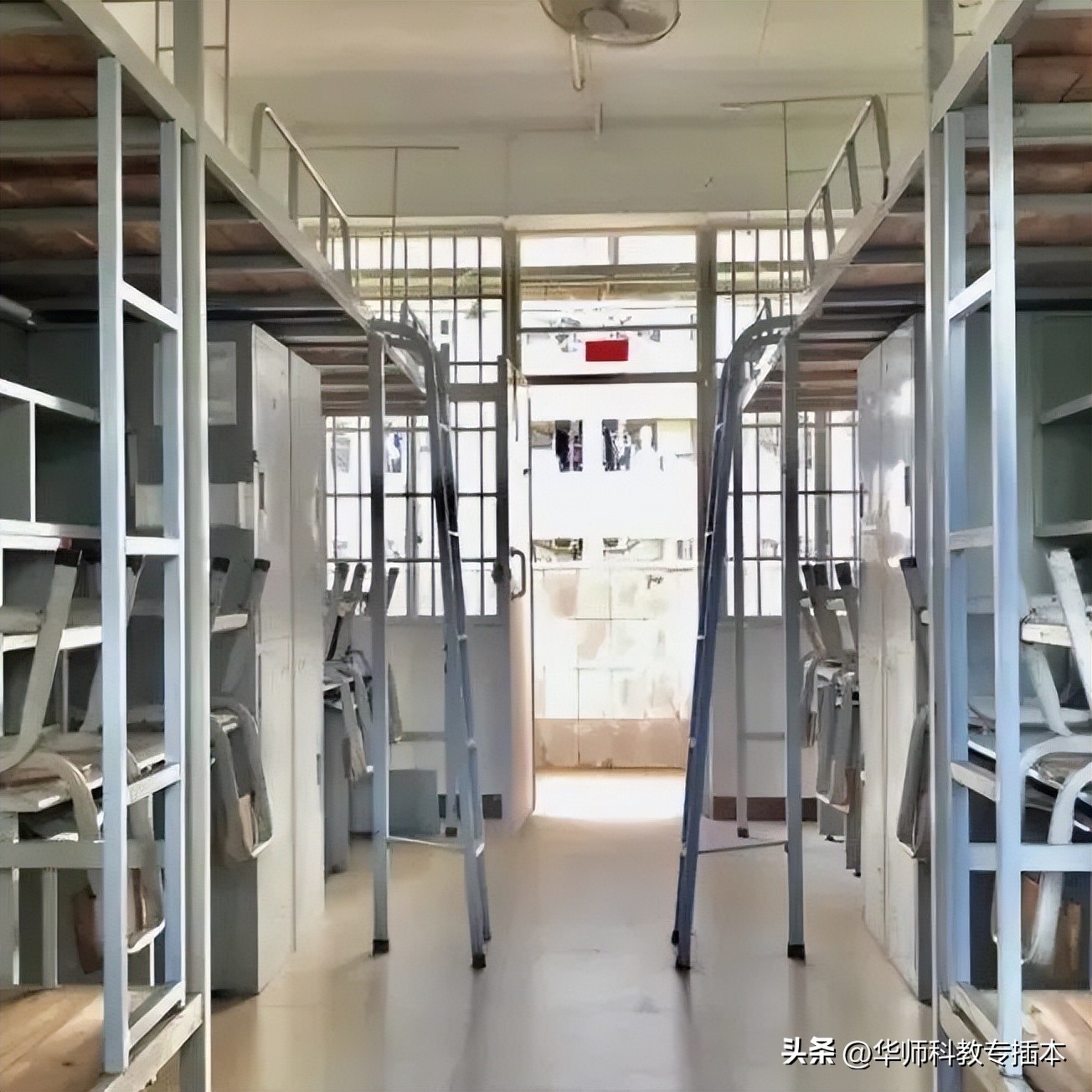 广东石油化工学院2024年专插本,广东石油化工学院考专插本难吗