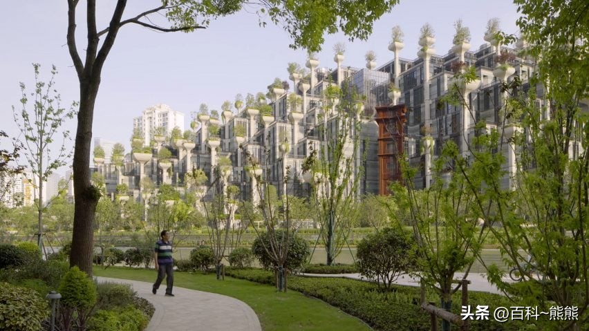 植物元素设计的椅子,植物元素的椅子设计